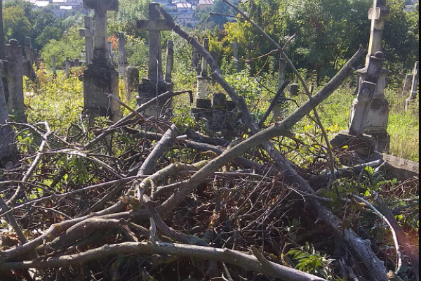 В Бучаче власти уничтожают кладбище и вырубают на нем деревья на сотни тысяч гривен