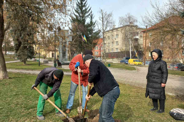 В городе на Тернопольщине высадили деревья в знак памяти об общественном деятеле