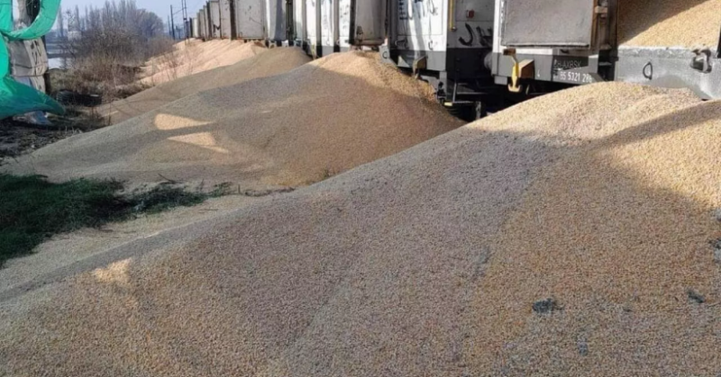 В Польше на железной дороге снова высыпали украинское зерно