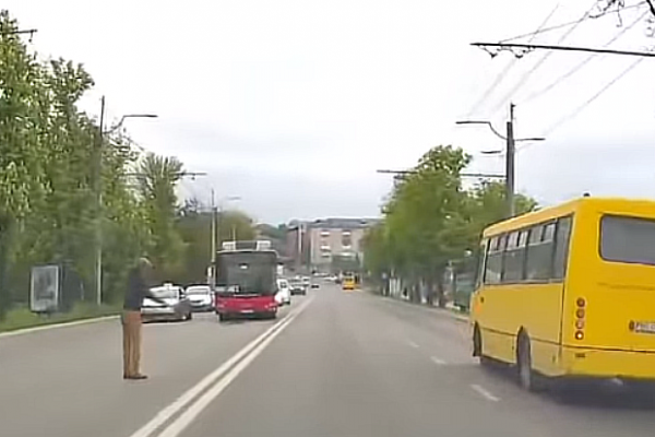 В Тернополе мужчина перекрыл дорогу, чтобы транспорт не сбил утку с утятами