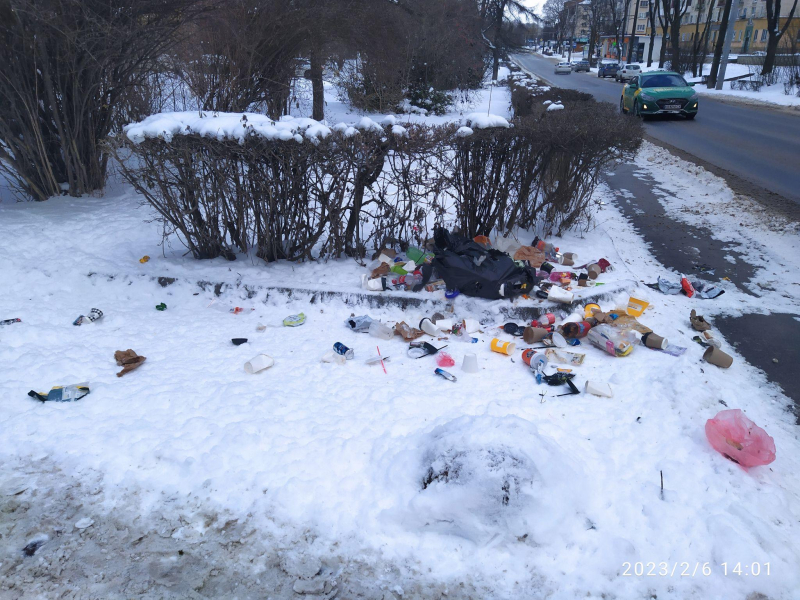 В Тернополе в Сквере Мира куча мусора: почему не убирают