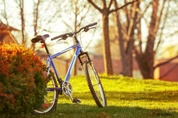 В Тернополе в парке подросток на велосипеде сбил 5-летнюю девочку