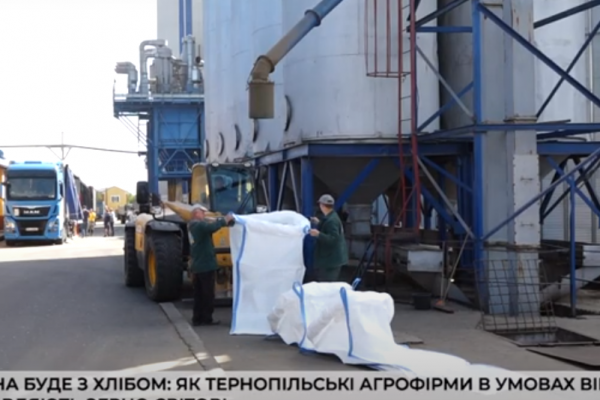 Украина будет с хлебом: как тернопольские агрофирмы в условиях войны доставляют зерно мировые