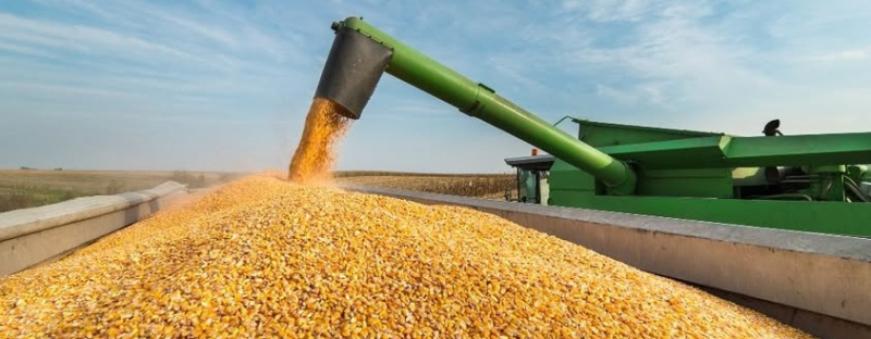 Украинские аграрии преодолели отметку в 50 миллионов сбора зерна