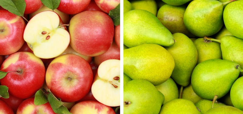 Украинские садоводы делают ставку на премиальные сорта яблок и груш