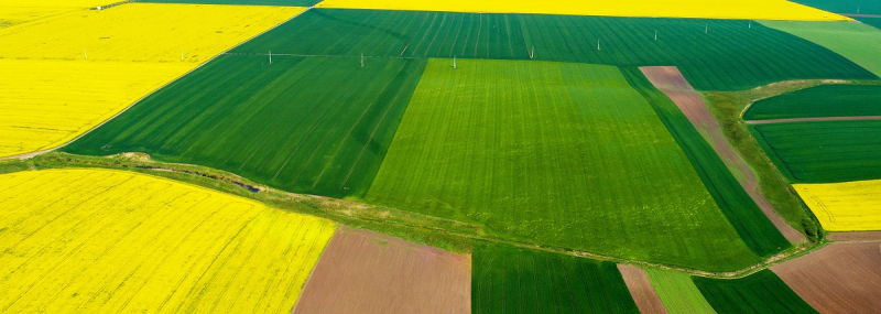 в Украине. Гривния выше, чем в июне.Полем В июле было продано 21 611 гектаров, что на 759 га больше, чем в июне. В то же время, пик продаж упал в феврале, а затем продал 27 572 га. Январь с 10 346 гектарами оставался наименее активным.Если в регионе Ивано-Франкивского, земля гектар стоит 180 137 гр., То только в донетске 30 665 Hryvnias. В регионе Киева средняя цена составляет 110 459 гр., В Sumy - 103 502 Hryvnias, а в Ternopil - 99 476 UH. Среди регионов с наименьшим значением, за исключением Донецка - Запорижецха (35 246 уах), Херсона (35 761 уаа) и Миколаива (35 912 уах) региона. Src = 