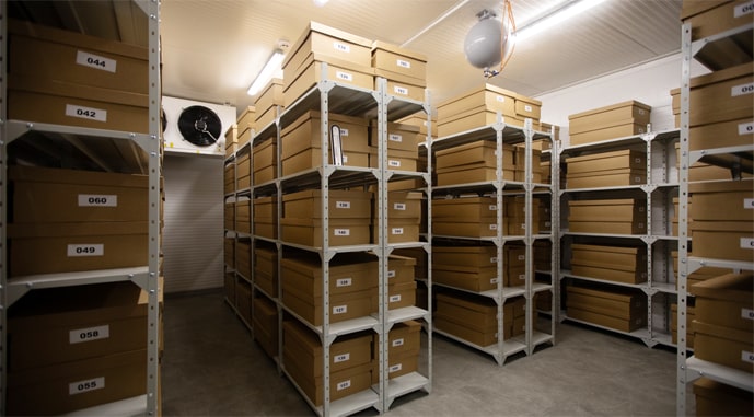 В Украине создано хранилище национальной коллекции семян