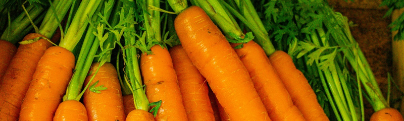 Популярный овощ в Украине подорожал