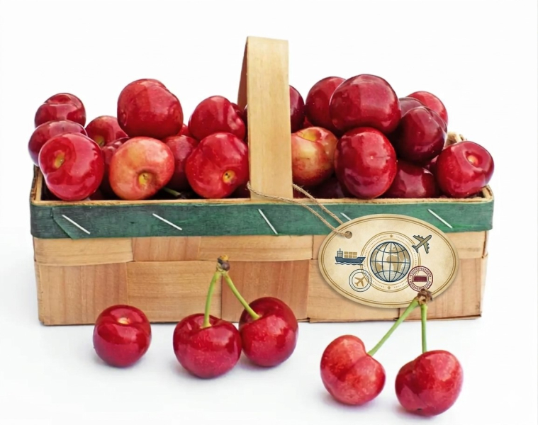 Потери садоводов: апрельские заморозки> </p>
<p><strong><em>Абрикосы, черешня, персики, вишни – все они цвели в апреле. Заморозки до -5°С пришли в худший момент. Украина может недосчитаться половины урожая косточковых. А ценовой скачок летом уже неизбежен — независимо от того ударят ли еще майские морозы.</em></strong></p>
<p>Апрель 2026 принес Украине две волны резкого похолодания. Температура в ряде областей опускалась до -5°С – именно тогда, когда абрикосы, персики и частично черешня уже цвели. Это самое плохое совпадение календаря и погоды для садовода: цветок в состоянии цветения погибает уже при -1…-3°С. Плода не будет.</p><!-- adman_adcode (middle, 1) --><script async src=