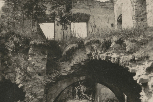 Замок в Збараже на фото 100 лет назад