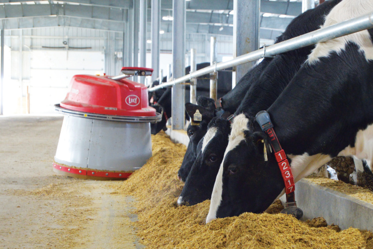 Убытки молочаров скоро достигли предела июня