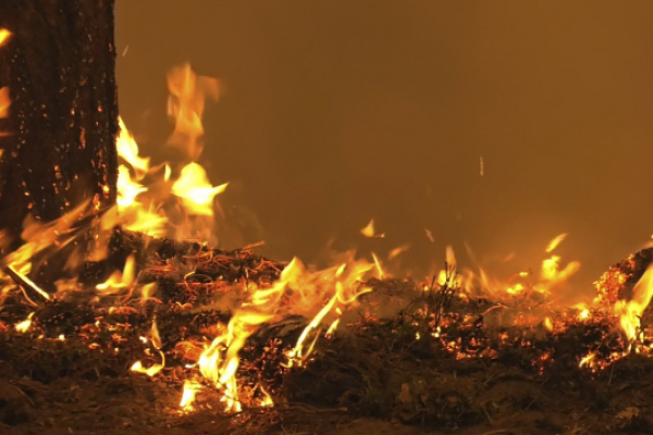 Житель Тернопольщины во время пожара получил ожоги